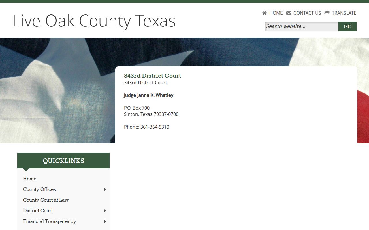 Live Oak County criminal docket 343rd District Court information