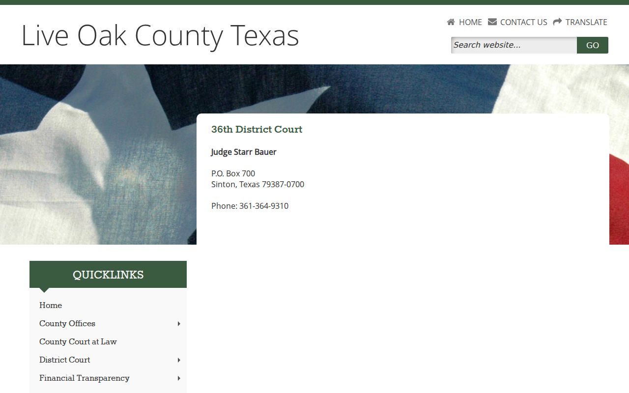 Live Oak County criminal docket 36th District Court page